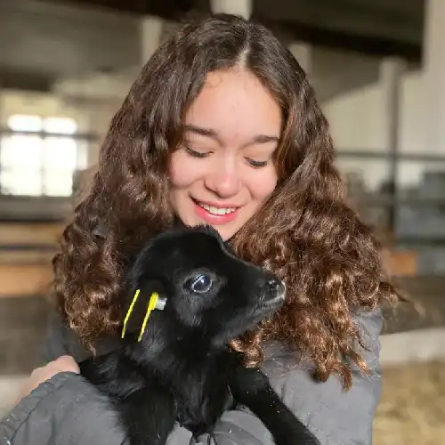 Kvinna med en baby lamm